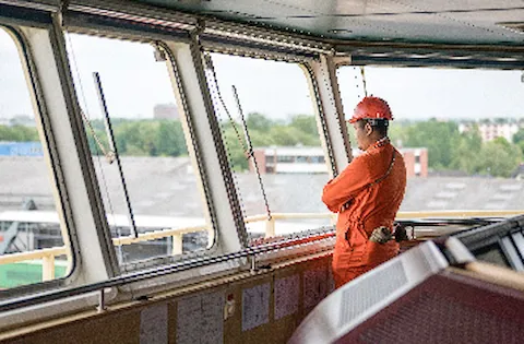 Download the full article