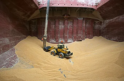 Download the full article