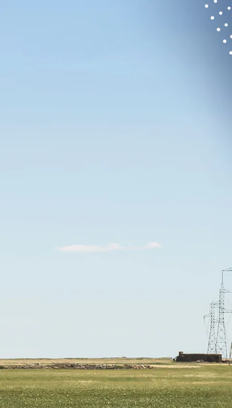 digital trust network