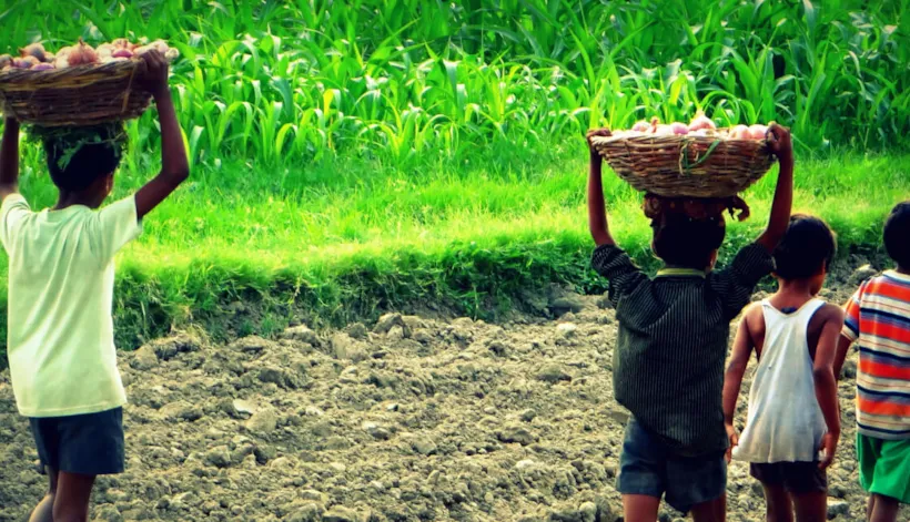Human Rights Due Diligence and DNV