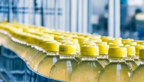 Global Standard for Packaging Materials Issue 6 to 7 Conversion for Sites Training