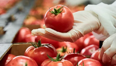 HACCP Training
