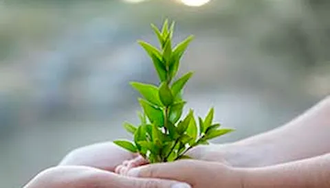 Synergi Life - 质量环境健康安全(QHSE/EHS)和企业风险管理软件